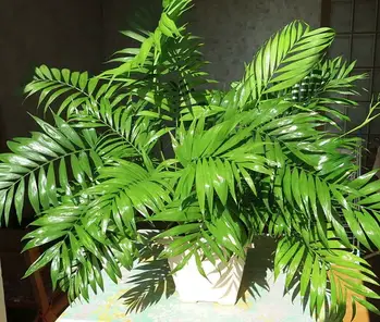 How To Grow Parlor Palm Tree Chamaedorea Elegans